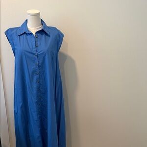 Anthropologie Blue Lined Midi Dress w Pockets Size XS